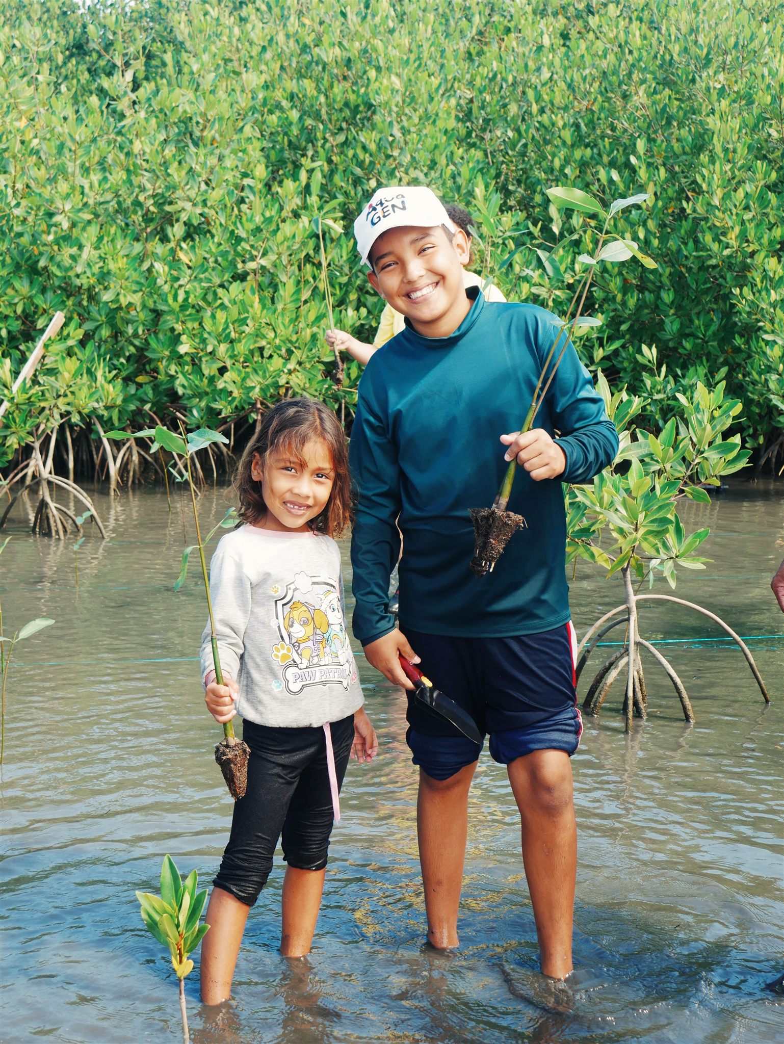 Local knowledge and participation inside the restoration process