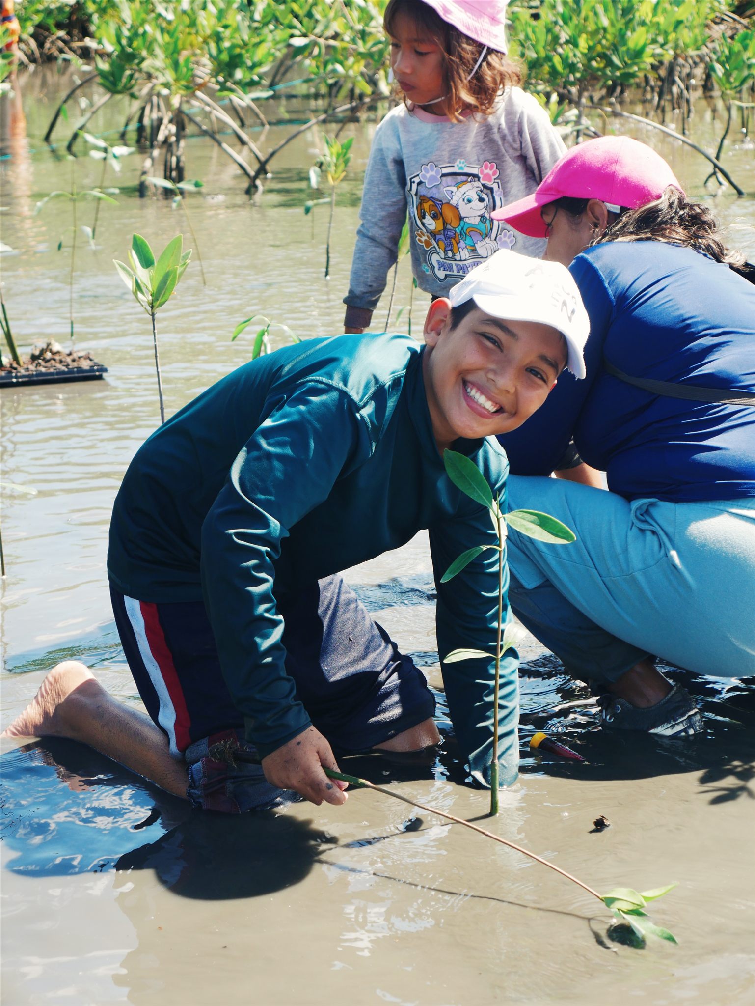 Restoration work in the wetland